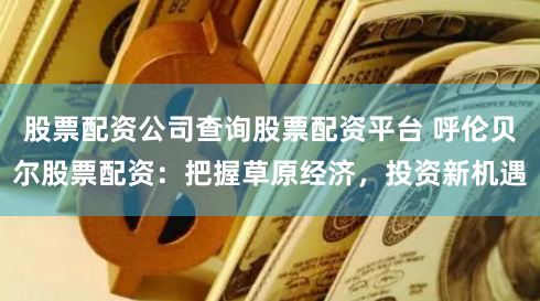 股票配资公司查询股票配资平台 呼伦贝尔股票配资：把握草原经济，投资新机遇