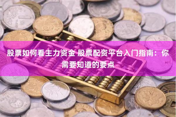 股票如何看主力资金 股票配资平台入门指南:你需要知道的要点