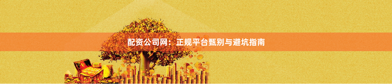 配资公司网：正规平台甄别与避坑指南